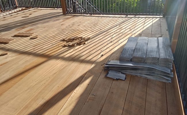 WhatsApp Image 2025-11-12 at 10.54.45 (1)