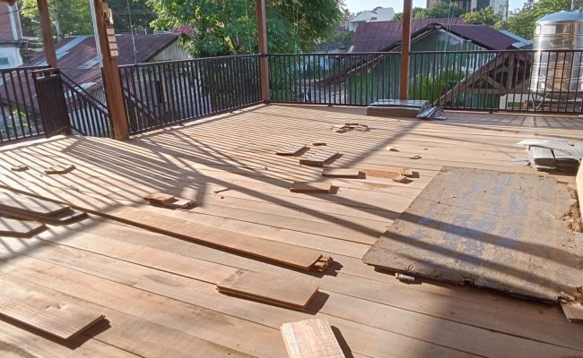 WhatsApp Image 2025-11-12 at 10.54.45