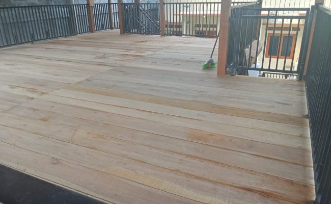 WhatsApp Image 2025-11-12 at 10.55.03 (1)